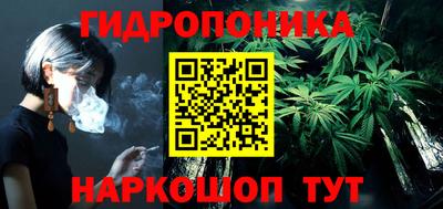 прущие грибы Апрелевка